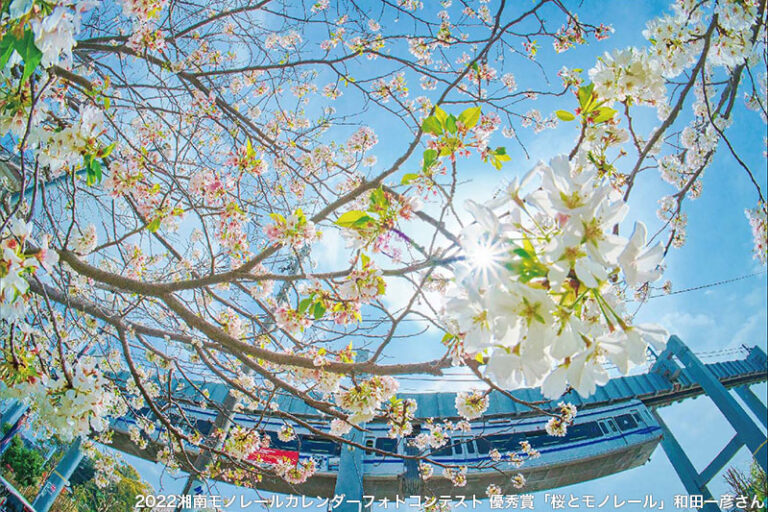 220831shonanmonorail